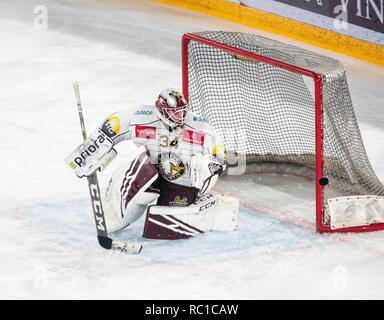 Lausanne, Schweiz. 12 Jan, 2019. LNA SWISS ICE HOCKEY LAUSANNE HC VS GENF SERVETTE HC-Lausanne Hc vs Genf Servette Hc bei der Vaudoise Arena, Lausanne (35. Tag der Jahreszeit), 12-01-2019. Quelle: Eric Dubost/Alamy Leben Nachrichten. Stockfoto