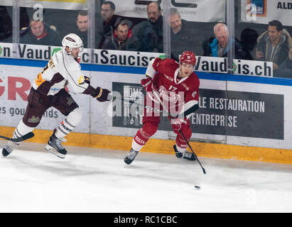 Lausanne, Schweiz. 12 Jan, 2019. LNA SWISS ICE HOCKEY LAUSANNE HC VS GENF SERVETTE HC-Lausanne Hc vs Genf Servette Hc bei der Vaudoise Arena, Lausanne (35. Tag der Jahreszeit), 12-01-2019. Quelle: Eric Dubost/Alamy Leben Nachrichten. Stockfoto