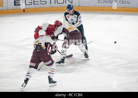 Lausanne, Schweiz. 12 Jan, 2019. LNA SWISS ICE HOCKEY LAUSANNE HC VS GENF SERVETTE HC-Lausanne Hc vs Genf Servette Hc bei der Vaudoise Arena, Lausanne (35. Tag der Jahreszeit), 12-01-2019. Quelle: Eric Dubost/Alamy Leben Nachrichten. Stockfoto