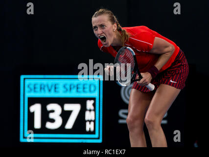 Sydney, Australien. 12 Jan, 2019. Petra Kvitova der tschechischen Republik feiert zählen während der Frauen gegen Ashleigh Barty von Australien am Sydney internationalen Tennisturnier in Sydney, Australien, Jan. 12, 2019. Petra Kvitova gewonnen 2-1. Credit: Zhu Hongye/Xinhua/Alamy leben Nachrichten Stockfoto