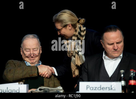 Riesa, Deutschland. 13 Jan, 2019. Alice Weidel, Führer der AfD-Fraktion im Bundestag, begrüßt Alexander Gauland, Führer der AfD-Fraktion im Bundestag und AfD-Sprecher, vor Beginn der Wahlen zum Europäischen Parlament die Alternative für Deutschland in der Saxony-Arena. Georg Pazderski, Vorsitzender der AfD Berlin und stellvertretende Bundesvorsitzende, ist auf der rechten Seite sitzt. Am dritten Tag der Konferenz, werden die Delegierten entscheiden über ihr Programm für die Wahlen zum Europäischen Parlament im Mai. Credit: Monika Skolimowska/dpa-Zentralbild/dpa/Alamy leben Nachrichten Stockfoto