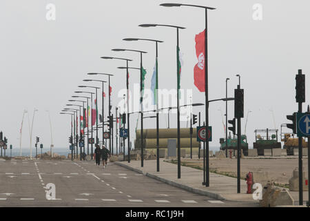 Beirut, Libanon. 13. Januar 2019. Die nationalflaggen der arabischen Staaten werden so dargestellt, wie Beirut bereitet die Arabische Wirtschaftliche und Soziale Entwicklung Gipfel der Arabischen Liga, die geplant ist, am 31.01.19. bis zu 20 nehmen und ist in erster Linie mit entwicklungspolitischen Fragestellungen in der Arabischen Welt Credit: Amer ghazzal/Alamy Leben Nachrichten organisiert zu Host Stockfoto