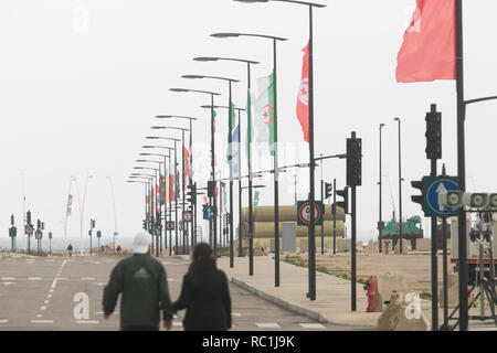 Beirut, Libanon. 13. Januar 2019. Die nationalflaggen der arabischen Staaten werden so dargestellt, wie Beirut bereitet die Arabische Wirtschaftliche und Soziale Entwicklung Gipfel der Arabischen Liga, die geplant ist, am 31.01.19. bis zu 20 nehmen und ist in erster Linie mit entwicklungspolitischen Fragestellungen in der Arabischen Welt Credit: Amer ghazzal/Alamy Leben Nachrichten organisiert zu Host Stockfoto