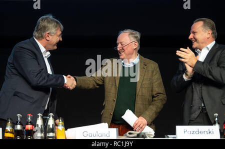 Riesa, Deutschland. 13 Jan, 2019. Jörg Meuthen (l), AfD-Chef und Spitzenkandidat seiner Partei bei den Wahlen zum Europäischen Parlament 2019, gratuliert Alexander Gauland, Führer der AfD-Fraktion im Bundestag und AfD-Sprecher, nach seiner Rede bei der Europawahl Treffen der Alternative für Deutschland in der Saxony-Arena. Auf der rechten Seite ist Georg Pazderski, Vorsitzender der AfD Berlin und Stellvertreter des Vorsitzenden. Am dritten Tag der Konferenz, werden die Delegierten entscheiden über ihr Programm für die Wahlen zum Europäischen Parlament im Mai. Foto: Monika Skolimowska/d Stockfoto