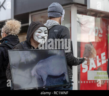 Brentwood, Essex, Großbritannien. 13. Januar 2019. Ein Würfel der Wahrheit Protest in Brentwood High Street von Anonym für die Stimmlosen; eine Gruppe Förderung des Veganismus und Tierschutz. Die Notebooks und Bildschirme zeigen erschütternde Aufnahmen von angeblichen Grausamkeit gegen Tiere. Kredit Ian Davidson/Alamy leben Nachrichten Stockfoto