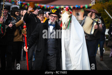 Gower, Swansea, Wales. Sonntag, 13.Januar 2019 Menschen in ganz Wales in die alte Tradition der Feiern des neuen Jahres am 13. Januar, als Alternative zu den üblichen Weihnachten und das neue Jahr feiern. Abgebildet sind Besucher und Freiwilligen auf der Gower Heritage Centre, South Wales, die an den Wassail Festival, das die alte Tradition des Segens äpfel Bäume, geführt von einem Mari Lwyd, einer alten l Waliser Brauch, sieht eine Pferde Scull in einem Pol führende Leute in einer Parade von Haus im Dorf Segen der neuen Jahre Haus montiert. Credit: R Stockfoto