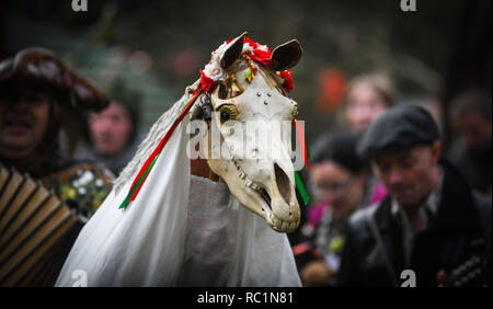 Gower, Swansea, Wales. Sonntag, 13.Januar 2019 Menschen in ganz Wales in die alte Tradition der Feiern des neuen Jahres am 13. Januar, als Alternative zu den üblichen Weihnachten und das neue Jahr feiern. Abgebildet sind Besucher und Freiwilligen auf der Gower Heritage Centre, South Wales, die an den Wassail Festival, das die alte Tradition des Segens äpfel Bäume, geführt von einem Mari Lwyd, einer alten l Waliser Brauch, sieht eine Pferde Scull in einem Pol führende Leute in einer Parade von Haus im Dorf Segen der neuen Jahre Haus montiert. Credit: R Stockfoto