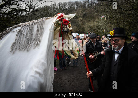 Gower, Swansea, Wales. Sonntag, 13.Januar 2019 Menschen in ganz Wales in die alte Tradition der Feiern des neuen Jahres am 13. Januar, als Alternative zu den üblichen Weihnachten und das neue Jahr feiern. Abgebildet sind Besucher und Freiwilligen auf der Gower Heritage Centre, South Wales, die an den Wassail Festival, das die alte Tradition des Segens äpfel Bäume, geführt von einem Mari Lwyd, einer alten l Waliser Brauch, sieht eine Pferde Scull in einem Pol führende Leute in einer Parade von Haus im Dorf Segen der neuen Jahre Haus montiert. Credit: R Stockfoto