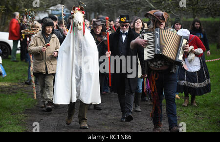 Gower, Swansea, Wales. Sonntag, 13.Januar 2019 Menschen in ganz Wales in die alte Tradition der Feiern des neuen Jahres am 13. Januar, als Alternative zu den üblichen Weihnachten und das neue Jahr feiern. Abgebildet sind Besucher und Freiwilligen auf der Gower Heritage Centre, South Wales, die an den Wassail Festival, das die alte Tradition des Segens äpfel Bäume, geführt von einem Mari Lwyd, einer alten l Waliser Brauch, sieht eine Pferde Scull in einem Pol führende Leute in einer Parade von Haus im Dorf Segen der neuen Jahre Haus montiert. Credit: R Stockfoto