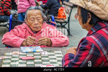 New York, New York/Nov 4, 2014: Frau spielt Karten in Park Stockfoto