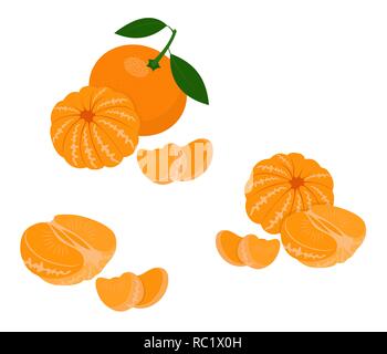 Mandarin, Mandarine, Clementine mit Blättern auf weißem Hintergrund. Zitrusfrüchte. Vector Illustration Stock Vektor