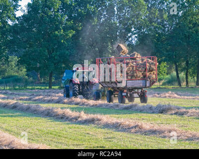 Landwirt auf seinem Traktor mit Anhänger Abholung Ballen Heu von einer Wiese in Barum, Elbmarsch, Niedersachsen, Deutschland. Stockfoto