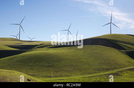 Windkraftanlagen auf der Oberseite, grüne Hügel im Livermore Valley, Kalifornien, USA Stockfoto