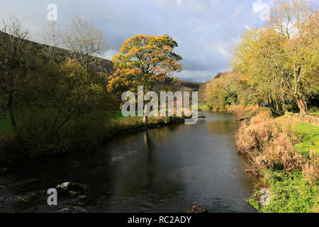 Herbst Blick über den Fluss Wye, Monsal Dale, Nationalpark Peak District, Derbyshire Dales, England, Großbritannien Stockfoto