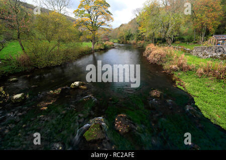 Herbst Blick über den Fluss Wye, Monsal Dale, Nationalpark Peak District, Derbyshire Dales, England, Großbritannien Stockfoto