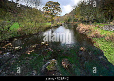 Herbst Blick über den Fluss Wye, Monsal Dale, Nationalpark Peak District, Derbyshire Dales, England, Großbritannien Stockfoto