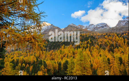 Dolomiten, Herbst Landschaft im Martelltal in Südtirol im Nationalpark Stilfser Joch, Alpen, in Norditalien, in Europa. Stockfoto