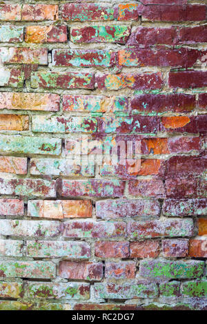 Grunge farbige Alte Mauer Stockfoto