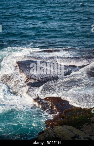 Blick auf die Marine von Bondi, Bronte Küstenweg, Sydney, NSW, Australien Stockfoto