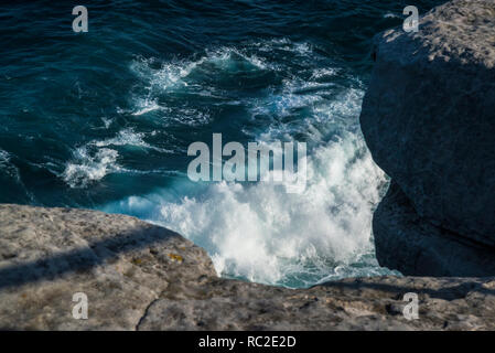 Blick auf die Marine von Bondi, Bronte Küstenweg, Sydney, NSW, Australien Stockfoto