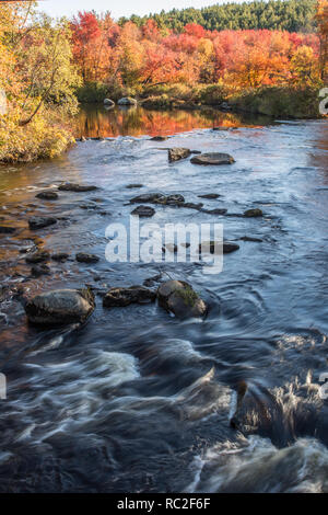 Die millers River im Süden Royalston, MA Stockfoto