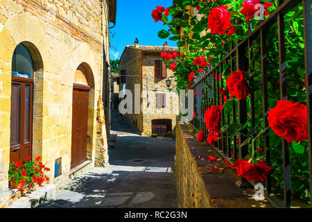 Wunderschöne schmale Zierpflanzen Straße mit blühenden Garten. Wunderschöner Eingangsbereich und wunderschöne alte gepflasterte Straße Blick auf Garten mit bunten rote Rosen in Mont Stockfoto