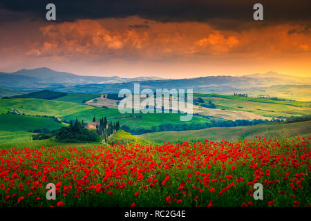 Magische Sommer Toskana Landschaft. Eine atemberaubende Landschaft mit Feldern der roten Mohnblumen und typisch toskanisches Steinhaus auf dem Hügel bei Sonnenuntergang, Torte Stockfoto