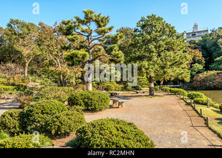 Landschaft am Daisensui Teich in den Rikugien Gärten, Tokyo, Japan Stockfoto