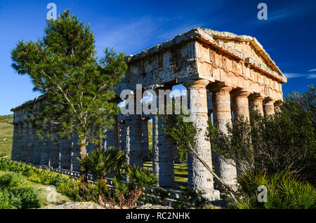 Jahrhundert Dorischen griechischen Tempel von Segesta. Blick von einem Winkel. Sonnigen Tag mit blauen Himmel. Provinz Trapani, Sizilien, Italien. Stockfoto