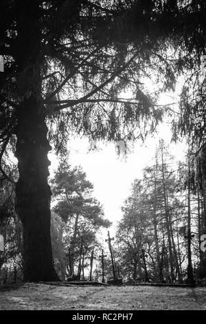 'Die alte Heimat' - Döllersheim, Waldviertel. Die Ausbildung Bereich Allentsteig unter Adolf Hitler erbaut wurde. 1938-1940 Alle 40 Dörfer wurden umgesiedelt. Stockfoto