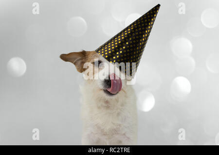 Lustige Hunde. JACK RUSSELL LECKEN mit der Zunge und das Tragen eines goldenen Polka Dot hat. Isolierte Schuß gegen Grau defokussiertem Hintergrund. Stockfoto