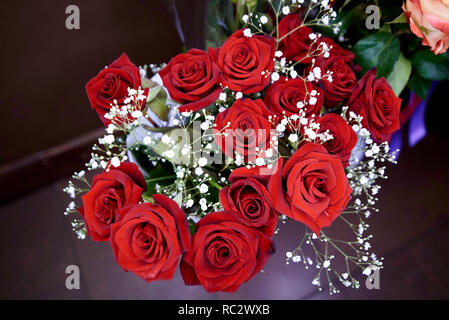Blumenstrauß aus blühenden dunkel rote Rosen. Stockfoto
