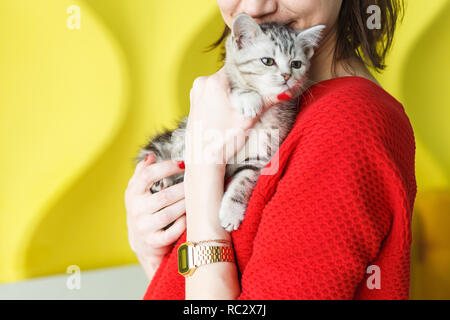 Mädchen in einem roten Pullover hält ein gestreiftes Kätzchen auf ihre Hände auf gelbem Hintergrund Stockfoto