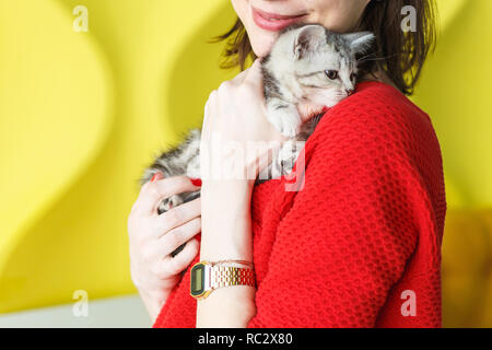 Mädchen in einem roten Pullover hält ein gestreiftes Kätzchen auf ihre Hände auf gelbem Hintergrund Stockfoto