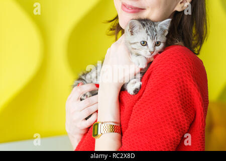 Mädchen in einem roten Pullover hält ein gestreiftes Kätzchen auf ihre Hände auf gelbem Hintergrund Stockfoto