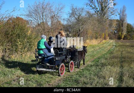 Eine Kutsche, gezogen von zwei schwarzen Shetlandponies. Drei Menschen im Schlitten sitzen. Herbst Landschaft. Stockfoto