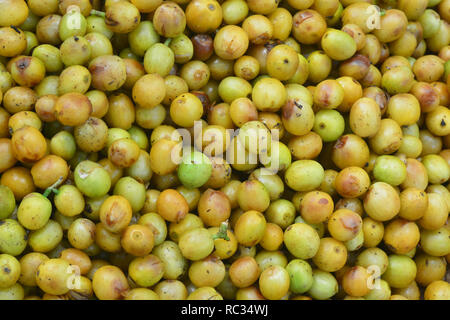 Grüner Kaffee Kirsche Stockfoto