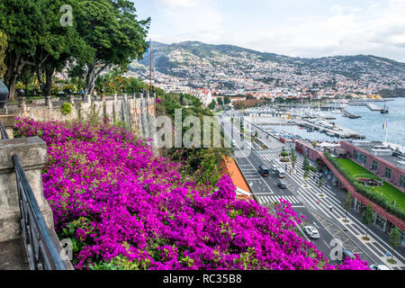 Den Hafen und Jachthafen in Funchal, der Hauptstadt von Madeira. Stockfoto