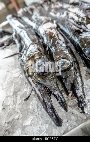 Schwarzer Degenfisch (Aphanopus carbo) an der Funchal indoor Fischmarkt. Stockfoto