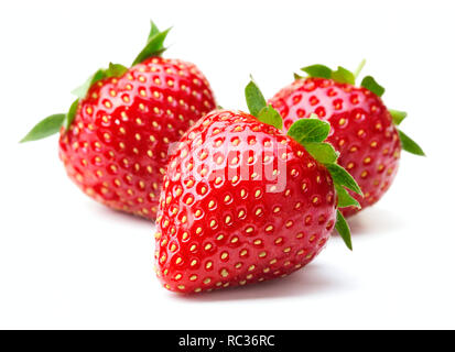 Frische reife Erdbeere Früchte auf weißem Hintergrund Stockfoto