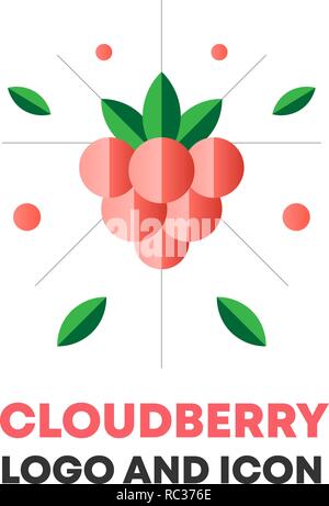 Cloudberry Symbol, Logo, berry Vector Illustration. Flache cloudberry Symbol, Logo Design für Lebensmittel, Kosmetik Paket. Flache cloudberry Symbol, Logo für Menü. Berry Vector Illustration, moltebeeren Symbol, Logo. Stock Vektor