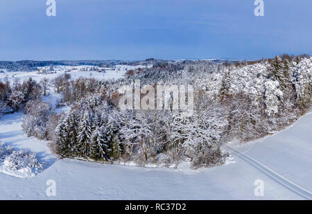 Winterlandschaft mit verschneiten Bäumen, Ambach, Oberbayern, Bayern, Deutschland, Europa Stockfoto