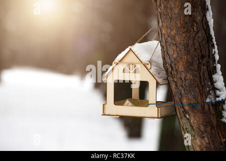 Hausgemachte Bird Feeder. Die Vögel im Winter Stockfoto