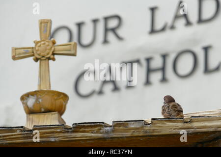 Wenn wir nicht unsere Köpfe aus dem System frei, wer dann sind wir auf eine Änderung vornehmen? Stockfoto