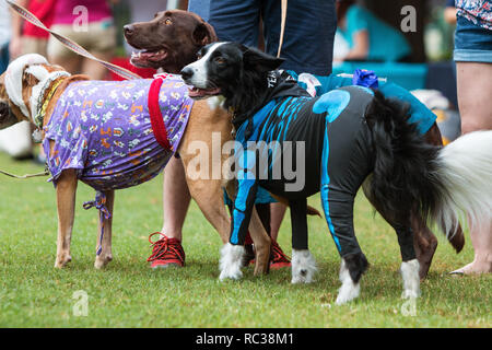 Hunde tragen verschiedene Kostüme in Doggy Con, ein Hund Kostümwettbewerb in Woodruff Park am August 18, 2018 in Atlanta, GA. Stockfoto