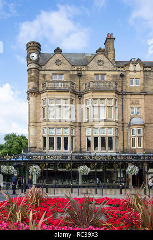 Betty's Café Tea Rooms, die Parliament Street, Montpellier Viertel, Harrogate, North Yorkshire, England, Großbritannien Stockfoto