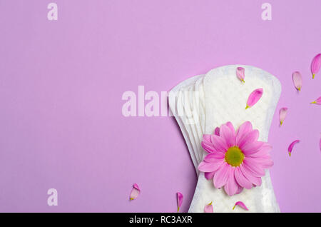 Frau Damenbinden und Gerbera Daisy Flower auf rosa Hintergrund, Feminine Hygiene Konzept Stockfoto