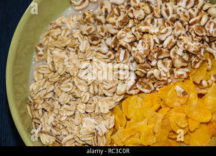 Verschiedene Getreide Reis Milch. Morgen Essen für einen guten Start. Stockfoto