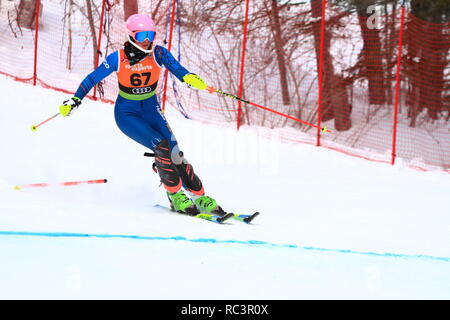 Quebec, Kanada. 13. Jan 2019. Hayley Conrad von Kanada konkurriert in der Super Serie Sports Experts Damen slalom Rennen in Val Saint-Come Kredit statt: Richard prudhomme/Alamy leben Nachrichten Stockfoto