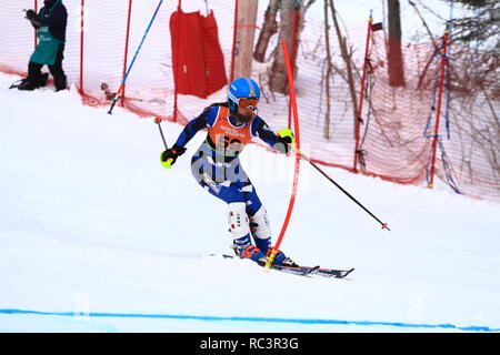 Quebec, Kanada. 13. Jan 2019. Anne-Sophie Beauchemin von Kanada konkurriert in der Super Serie Sports Experts Damen slalom Rennen in Val Saint-Come Kredit statt: Richard prudhomme/Alamy leben Nachrichten Stockfoto